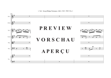 gallery: Tafelmusik-Ouvertüre-1. Teil TWV 55:e 1 , , (Gemischtes Ensemble)
