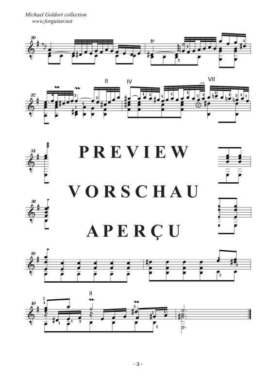 gallery: Concerto D minor, after Alessandro Marcello, BWV 974 , Goldort, Michael, (Gitarre Solo)