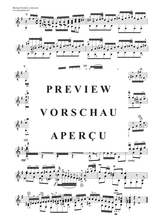 gallery: Concerto D minor, after Alessandro Marcello, BWV 974 , Goldort, Michael, (Gitarre Solo)