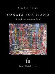 Produktbild zu: Sonata for Piano (Broken Branches)