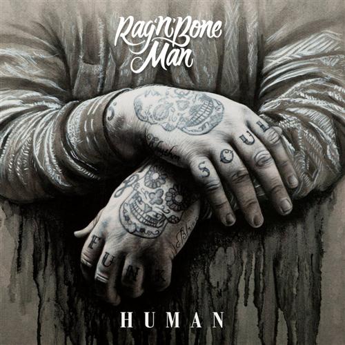 cover: Human, Rag 'n' Bone Man, Gesang, Gitarre, Klavier