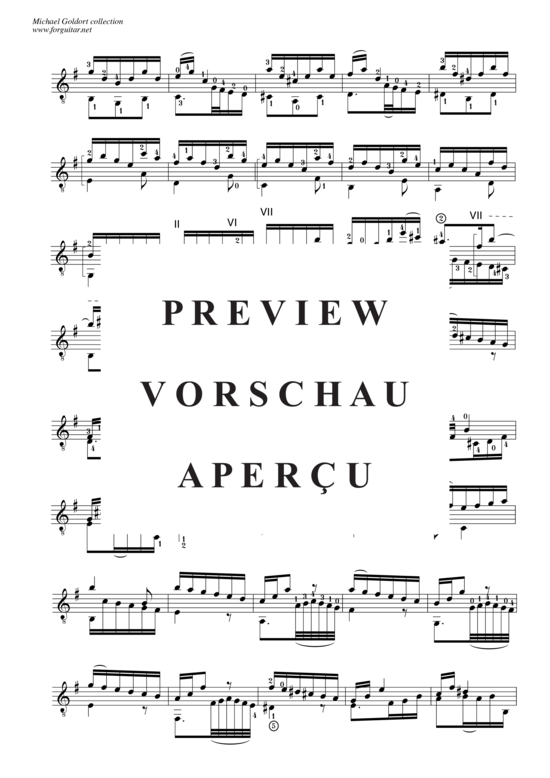 gallery: Concerto D minor, after Alessandro Marcello, BWV 974 , Goldort, Michael, (Gitarre Solo)