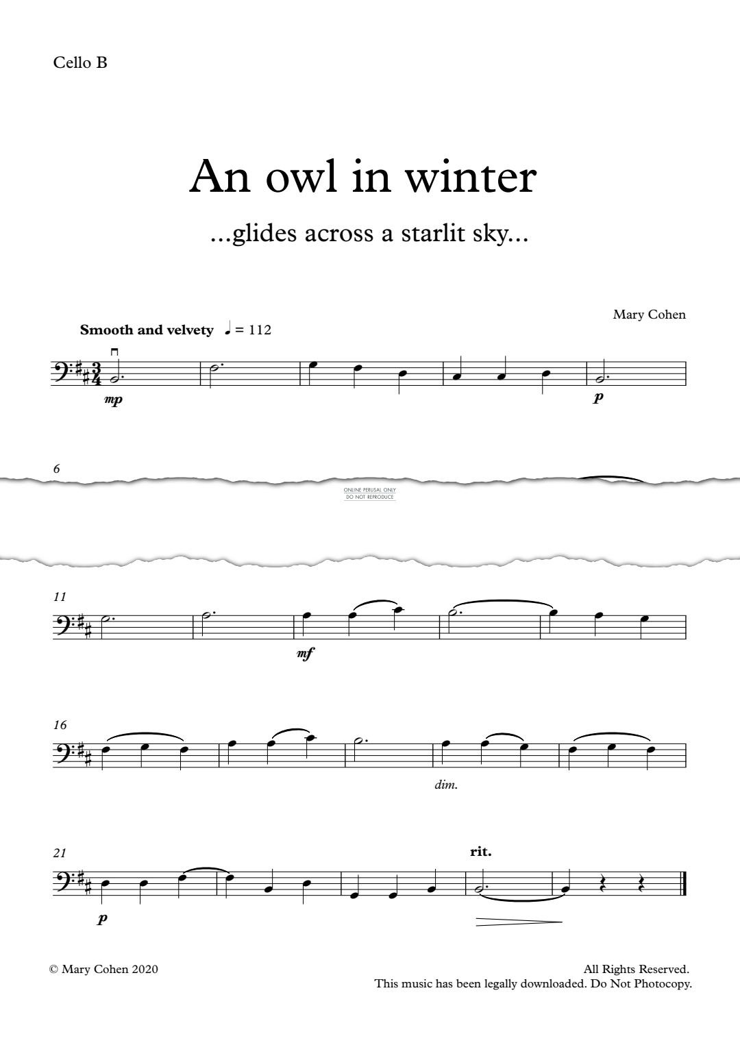 gallery: An Owl In Winter, Mary Cohen, Violoncello