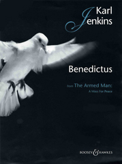 cover: Benedictus (from 'The Armed Man: A Mass For Peace'), Karl Jenkins, Klavier, Viola