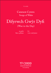 Product picture to: Difyrwch Gwyr Dyfi