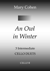 cover: An Owl In Winter, Mary Cohen