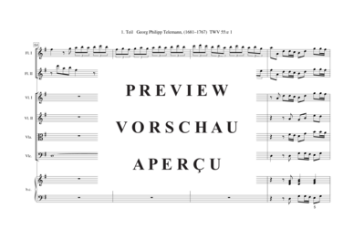 gallery: Tafelmusik-Ouvertüre-1. Teil TWV 55:e 1 , , (Gemischtes Ensemble)