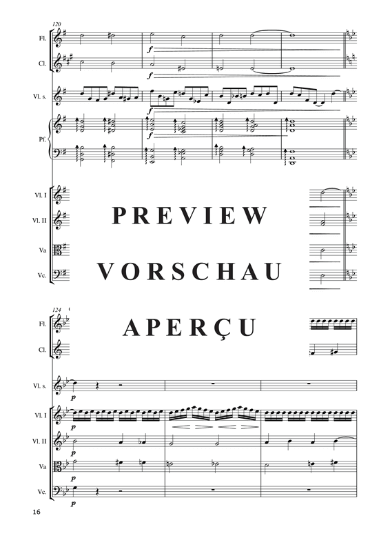 gallery: Hommage à la Pologne (2015) , ,  (Ensemble für Violine Solo, Klavier, Flöte, Klarinette + Streichquintett)