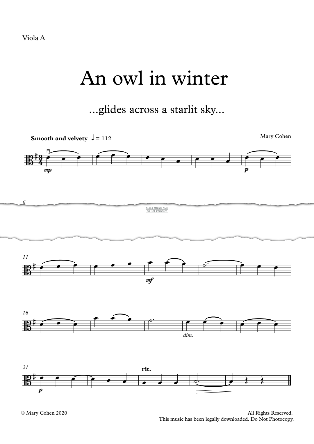 gallery: An Owl In Winter, Mary Cohen