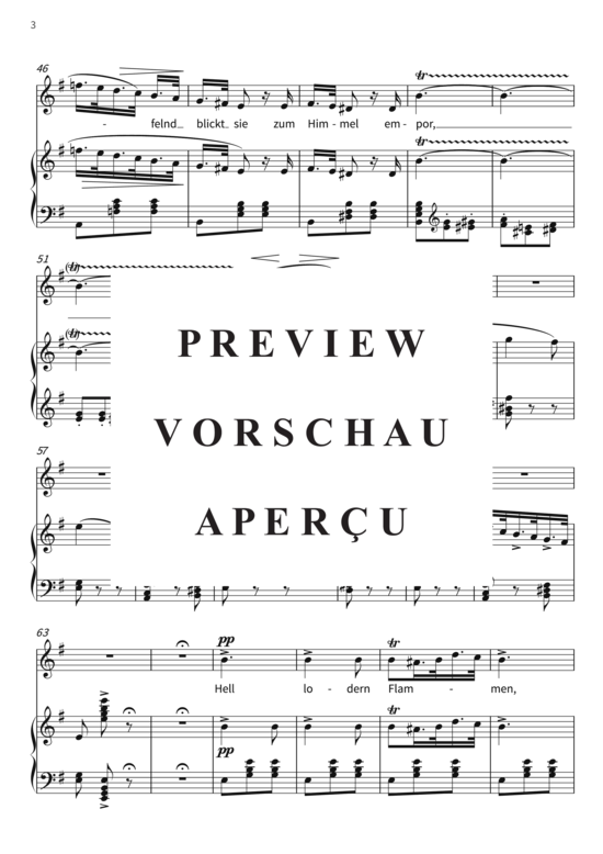 gallery: Lodernde Flammen - Kanzone der Azucena aus der Oper Der Troubadour , , (Gesang + Klavier)