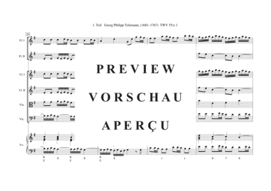 gallery: Tafelmusik-Ouvertüre-1. Teil TWV 55:e 1 , , (Gemischtes Ensemble)