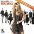 cover: Waka waka (this time for Africa) , Shakira,  (Alt-Sax)