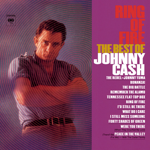 cover: Ring Of Fire, Johnny Cash, Alan Jackson, E-Bass, Gitarre