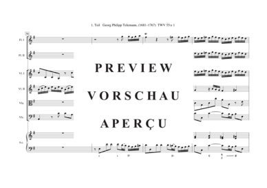 gallery: Tafelmusik-Ouvertüre-1. Teil TWV 55:e 1 , , (Gemischtes Ensemble)