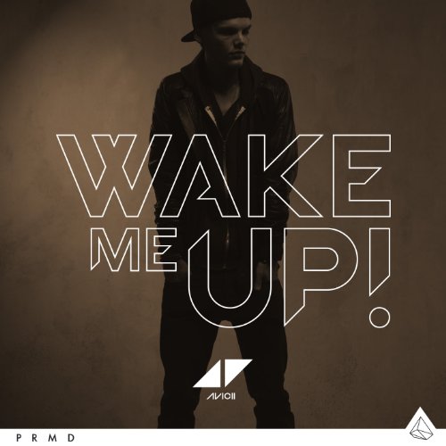 cover: Wake Me Up, Avicii