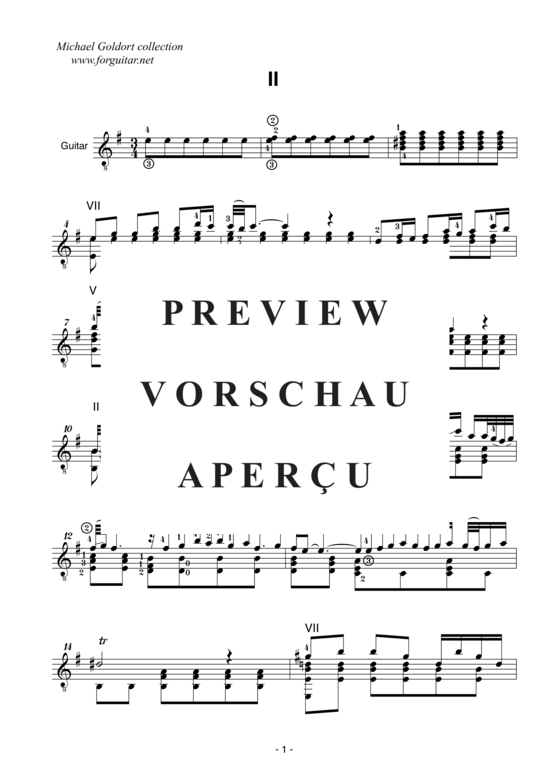 gallery: Concerto D minor, after Alessandro Marcello, BWV 974 , Goldort, Michael, (Gitarre Solo)