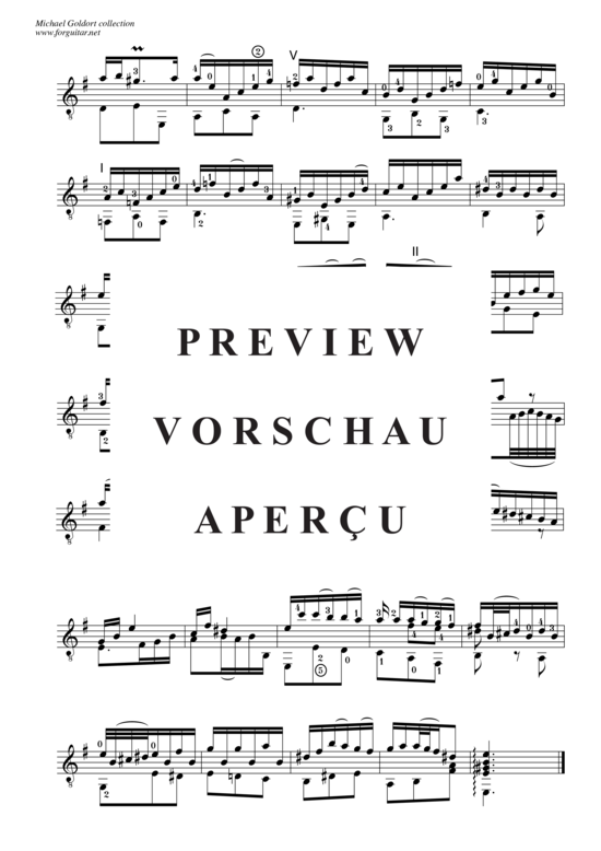 gallery: Concerto D minor, after Alessandro Marcello, BWV 974 , Goldort, Michael, (Gitarre Solo)