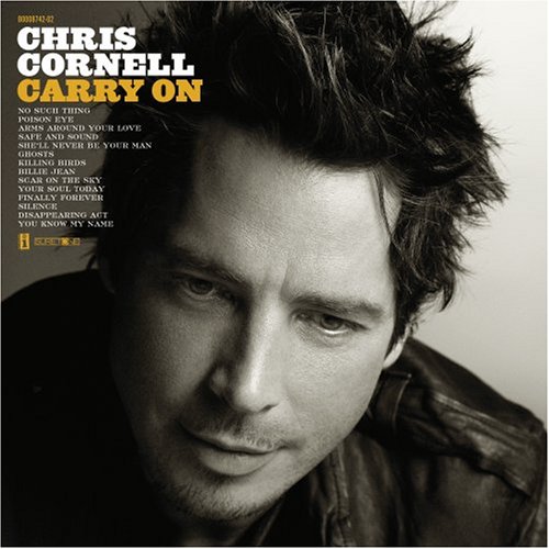 cover: You Know My Name, Chris Cornell, Gitarre