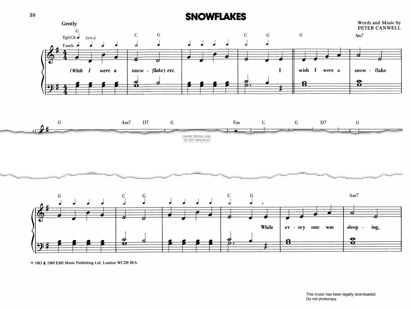 gallery: Snowflakes, Peter Canwell, Gesang, Gitarre, Klavier, Percussion