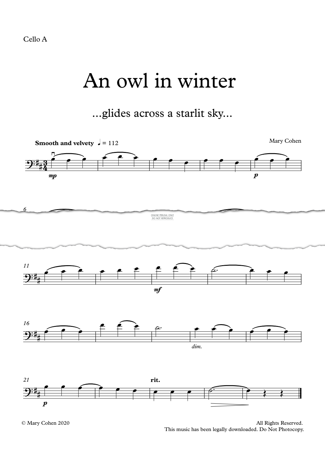 gallery: An Owl In Winter, Mary Cohen, Violoncello