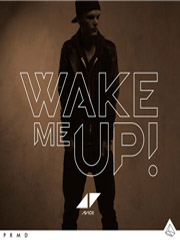 cover: Wake Me Up, Avicii